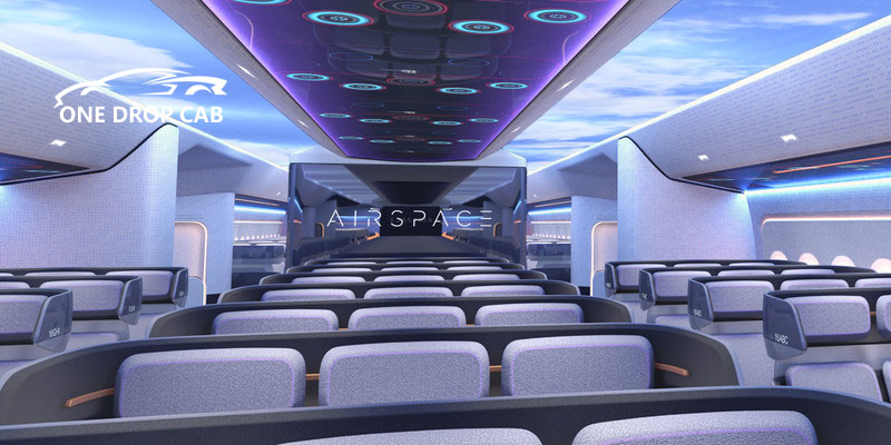 Air Bus Rental Service
