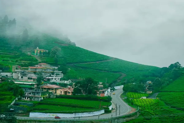 one drop cab ooty
